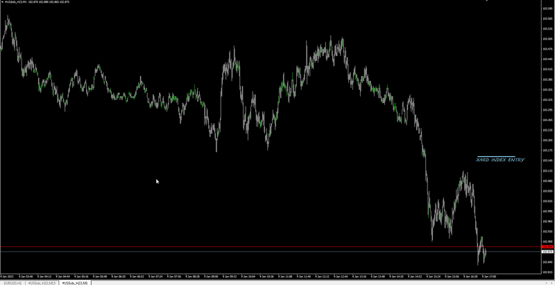 XXXX Index Entry M1.png
