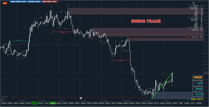 CADCHF #1.png