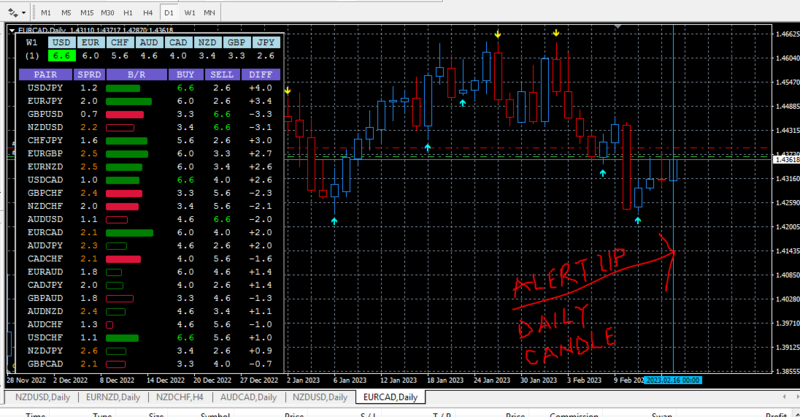 DAILY CANDLE VERTICAL LINE.PNG