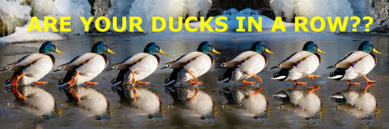 54869591-BA57-4816-8631-8FF8E880D091.jpeg
