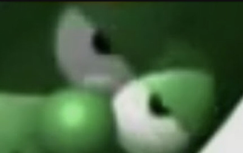 F5FBAE4C-5AB1-4B9C-A81D-F40FF93DE0E8.jpeg