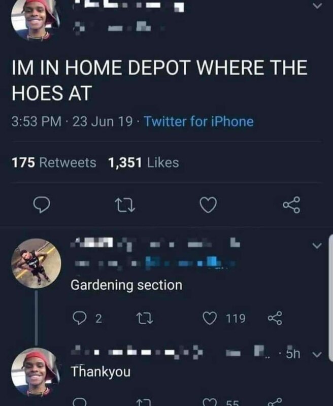 Where The Hoes At Meme.jpg