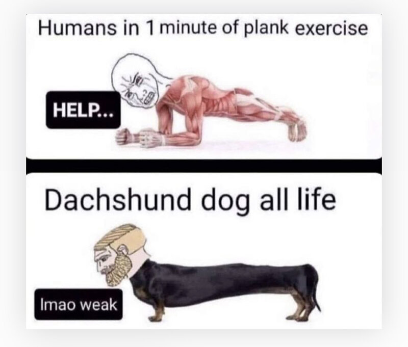 94C1F02B-795B-4694-B93F-5DB0F0B6BD7D.jpeg