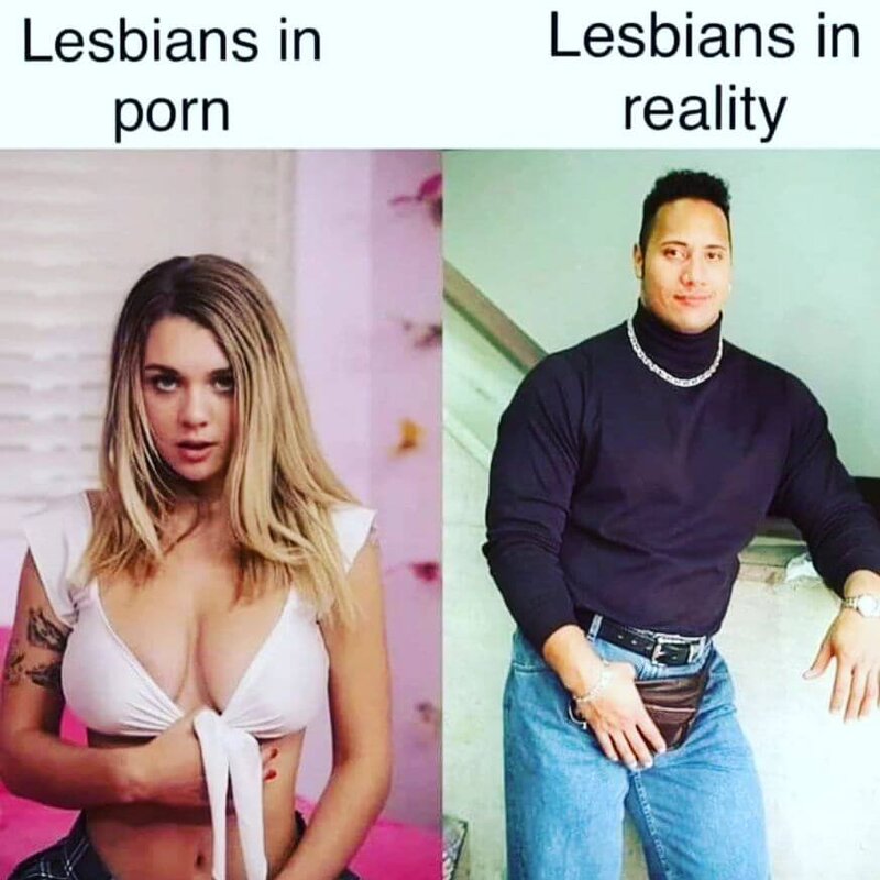 Lesbians in Porn vs Real Life Meme.jpg