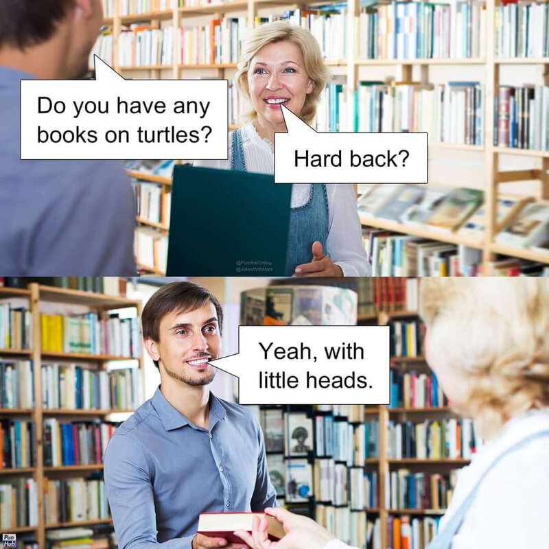 Library Books on Turtles Meme.jpg