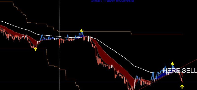 sell m5.jpg