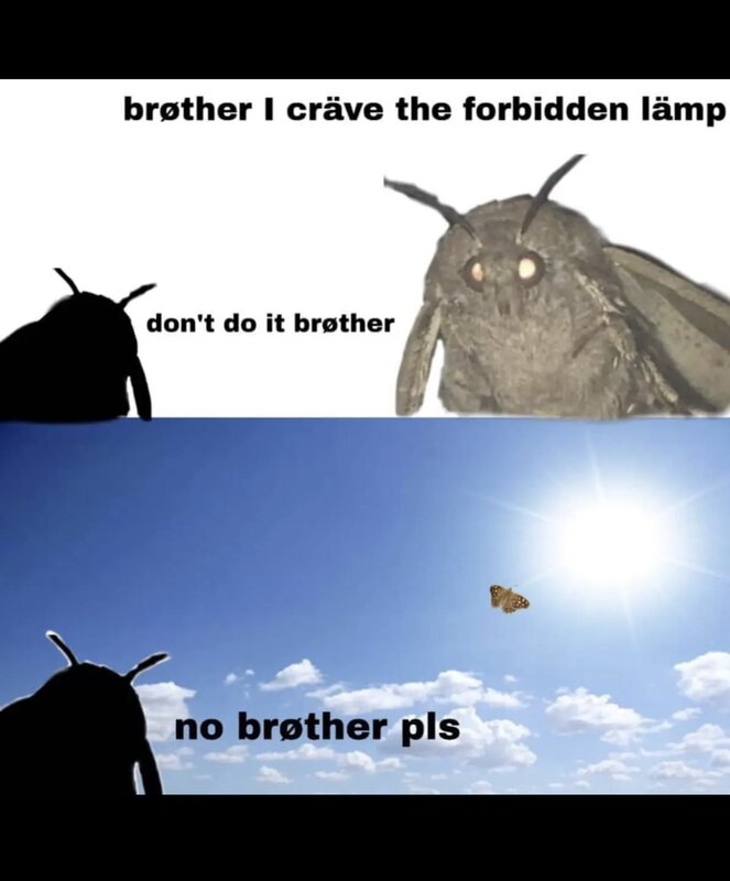 8C6375EE-38F2-4253-A817-1010CFC2EF04.jpeg