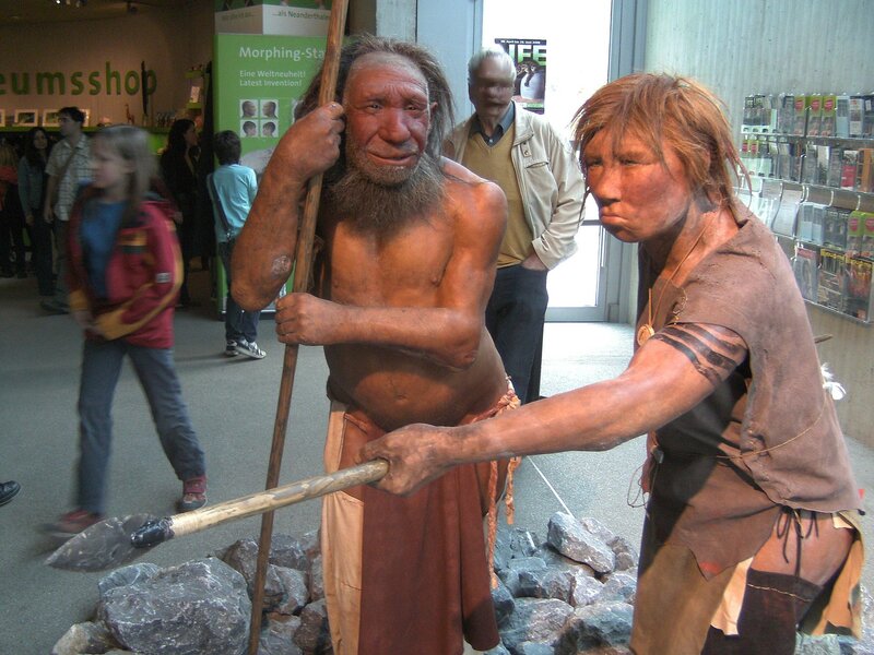 1920px-Neandertala_homo_modelo_en_Neand-muzeo-1.jpg