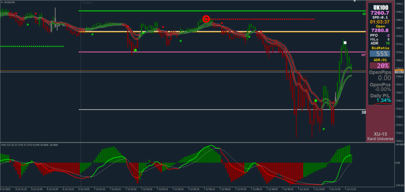 This chart isn't my regular setup. I just added XARD's panel to show I made profit off it.