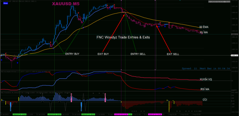 FNC Woodyz Trade Entries & Exits.png