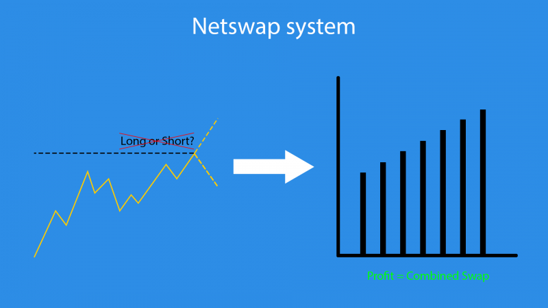 Netswap system.png