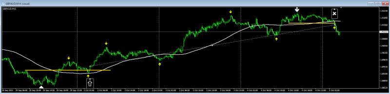 Trading Examples<br />Reality is about 200 pips (By the way, about 300 pips when verified by the past chart)