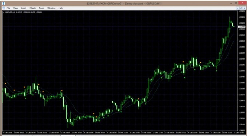 BB Histo no arrows.JPG
