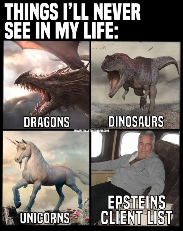 Things-ill-never-see-meme-epstein.jpg