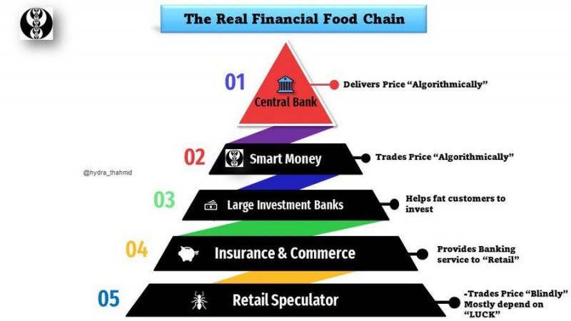The Financial Food Chain Pyramid.jpeg