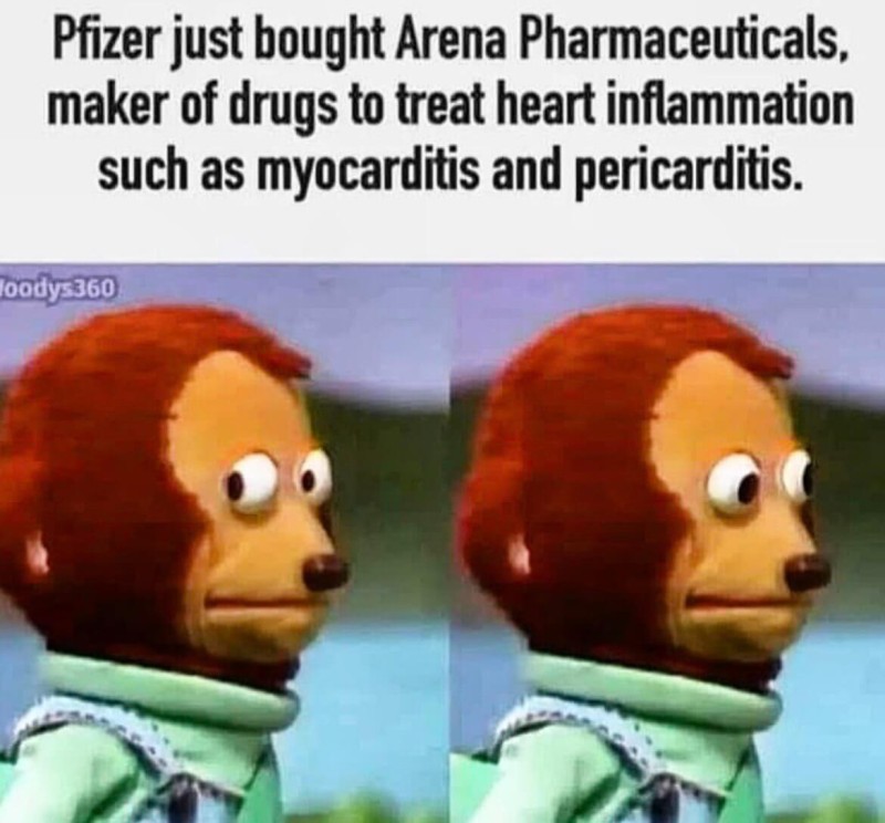 Pfizer Fact Myocarditis.jpg