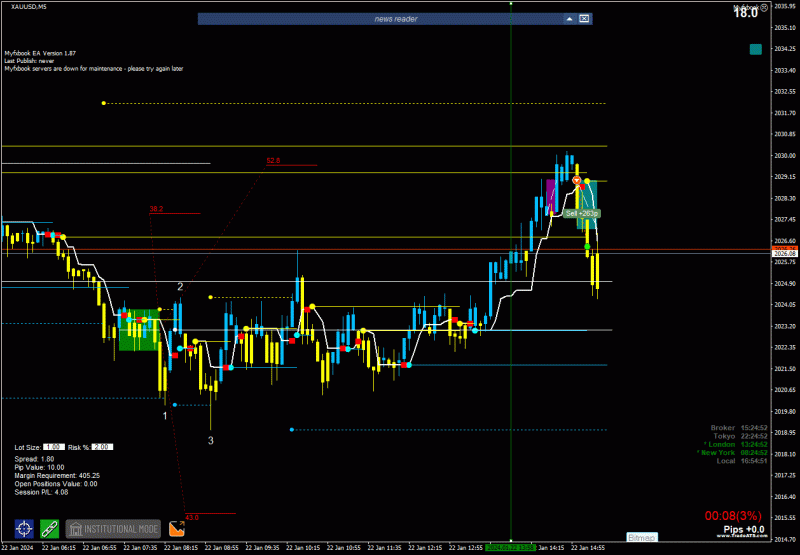 2024-1-22_16-54-52_PTA Trading Position_XAUUSD_M5.gif
