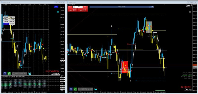 Grade A Sel on Gold.jpg