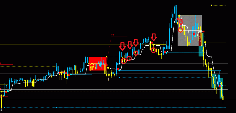 2024-2-6_13-16-33_PTA Trading Position_EURUSD_M5.gif