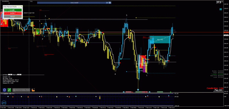 2024-2-7_15-11-05_PTA Trading Position_XAUUSD_M5.gif