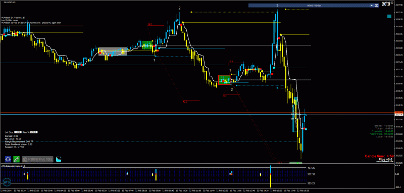 2024-2-12_18-15-01_PTA Trading Position_XAUUSD_M5.gif