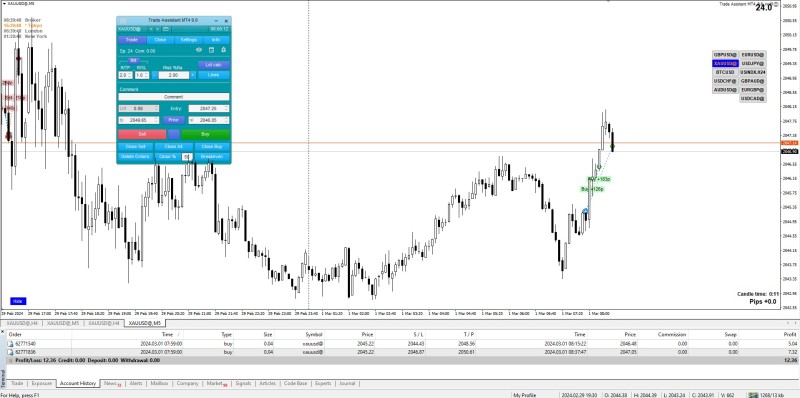 Screenshot 2024-03-01 101001.jpg