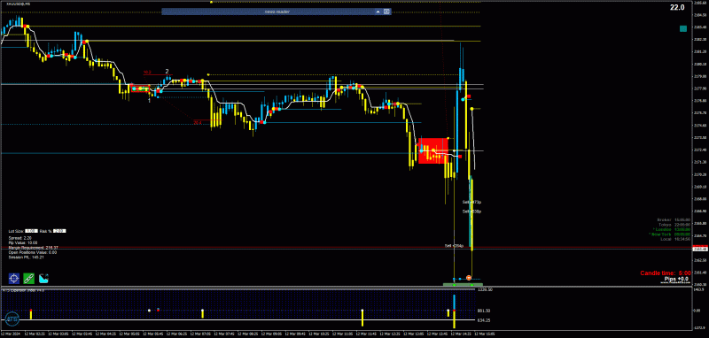 2024-3-12_16-34-56_PTA Trading Position_XAUUSD@_M5.gif