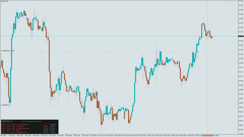 EURJPY M30 2024.03.13 19.19.21 (Manual).png