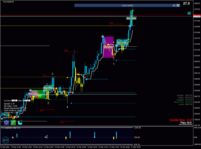 2024-3-13_20-47-33_PTA Trading Position_XAUUSD@_M5.gif