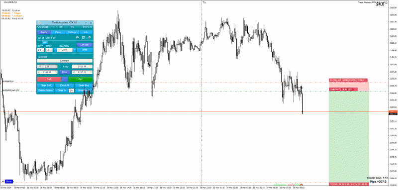 2024-3-19_11-38-42_PTA Trading Position_XAUUSD@_M5.gif