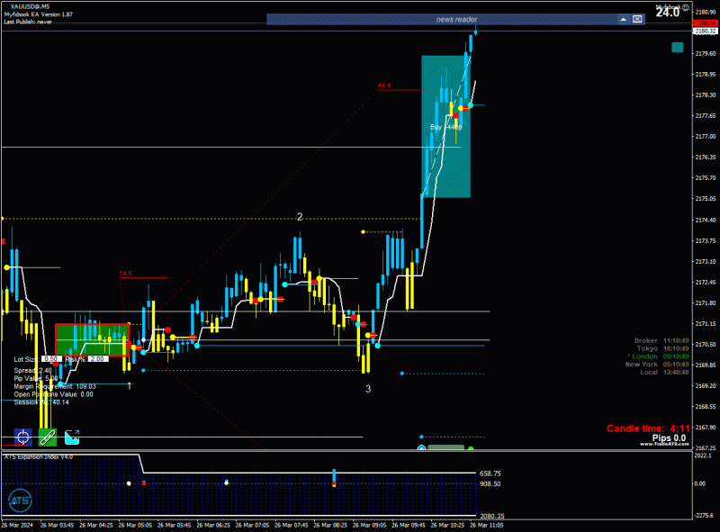 2024-3-26_12-40-48_PTA Trading Position_XAUUSD@_M5.gif