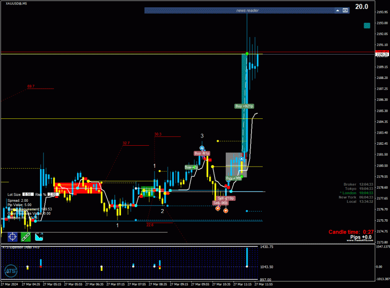 2024-3-27_13-34-33_PTA Trading Position_XAUUSD@_M5.gif