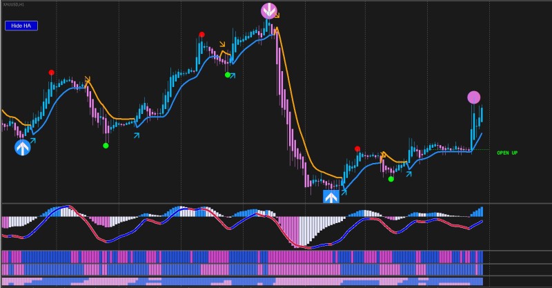 Chart view.jpg