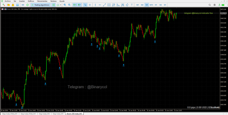 When loading the indicator this will be the visual