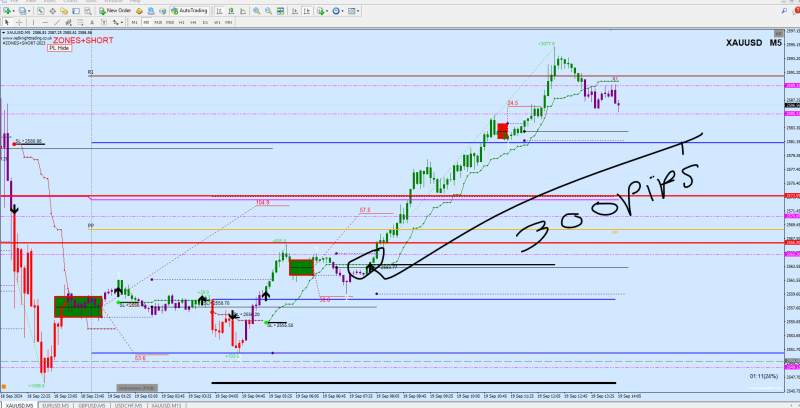 Gold 300 pips.png