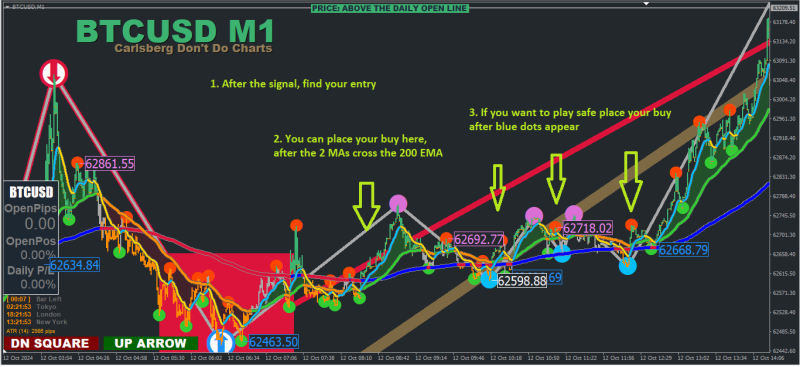 BTC 13-10-24 2.png