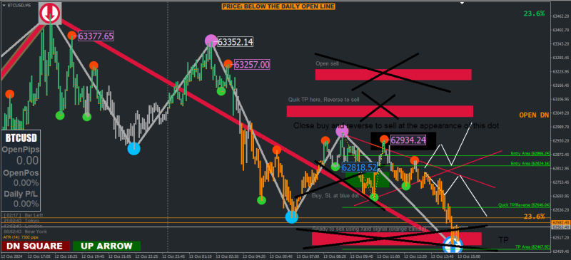 BTC 13-10-24 3.png