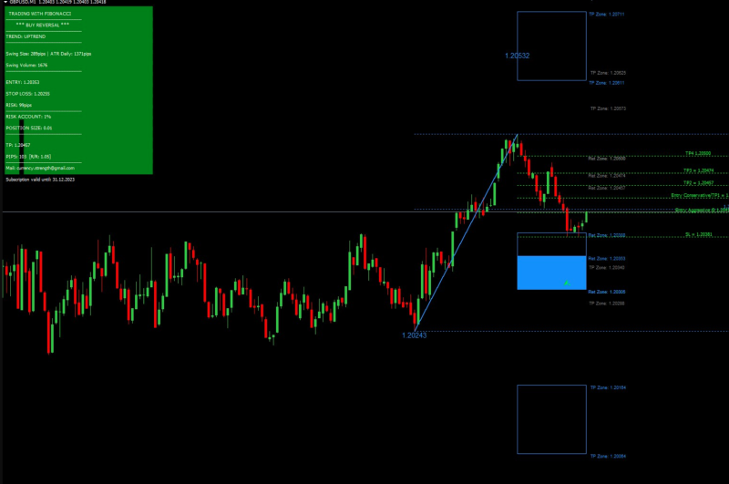 Screen Shot 2024-12-12 at 3.20.51 PM.png