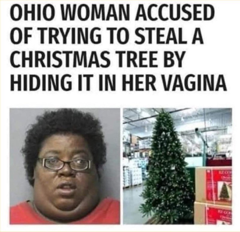 xmas vaggie.jpg