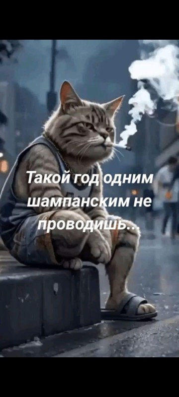 WhatsApp Image 2024-12-31 at 11.21.56.jpeg