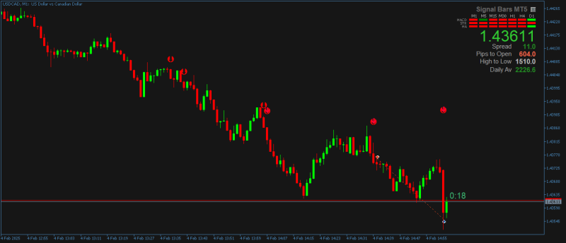 Random manual trading. DynamicCOG (COGGRAIL version)