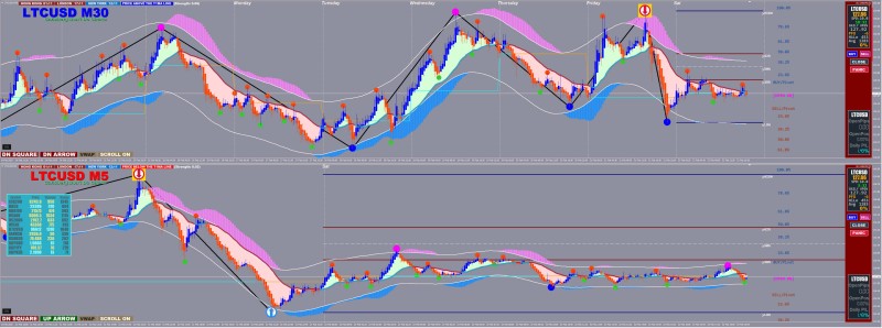 Xard-trading-system-february-2025.jpg