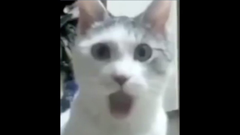 maxresdefault.jpg