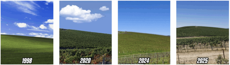 scale_1200.png