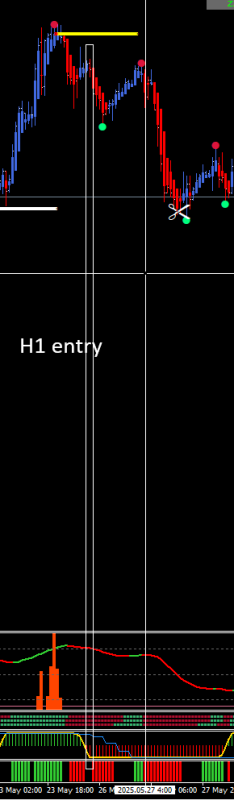H1 entry.png