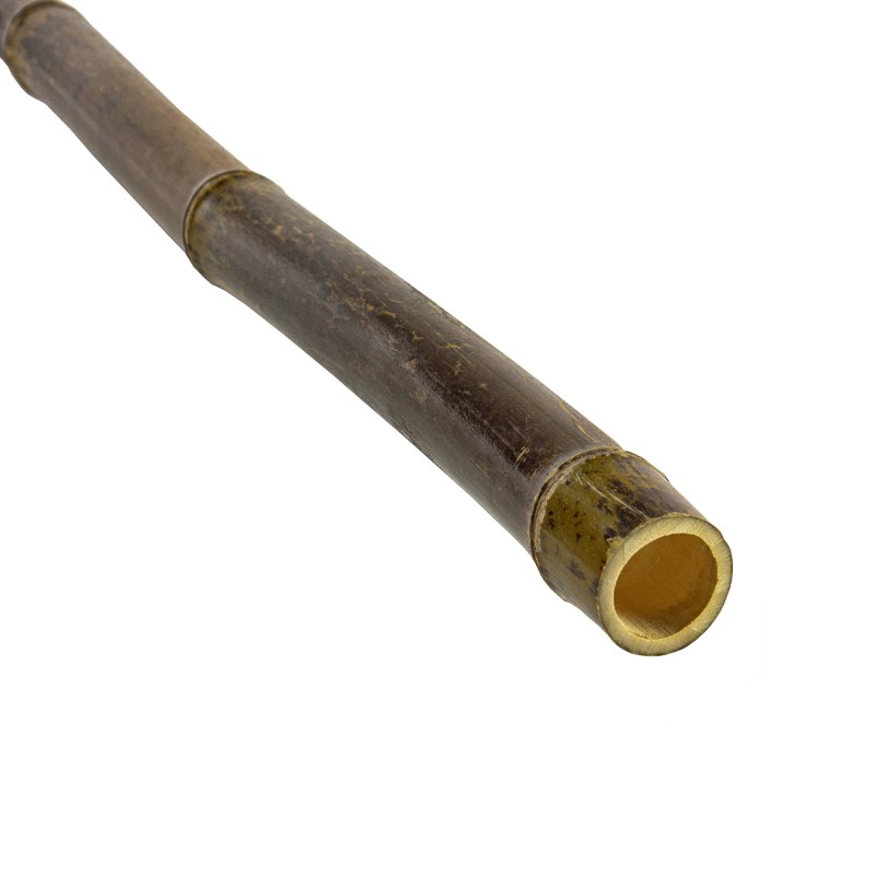 bamboo.jpg