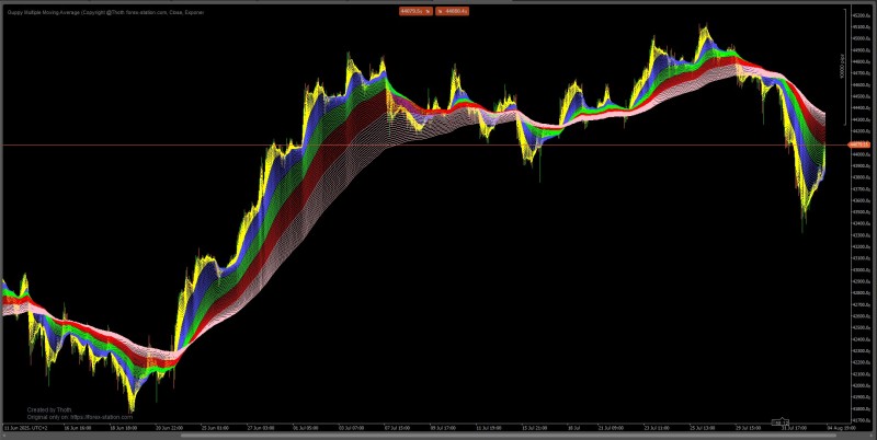 guppy multiple ma.jpg