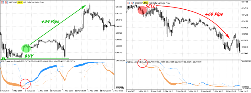 rsi-experiment-extended-mt5-screen-1545.png