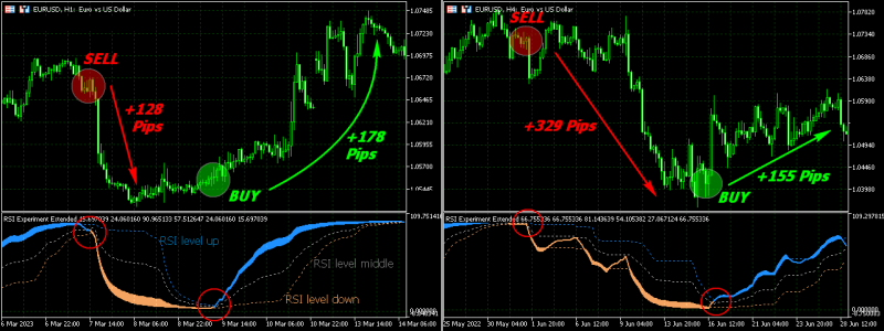 rsi-experiment-extended-mt5-screen-7638.png