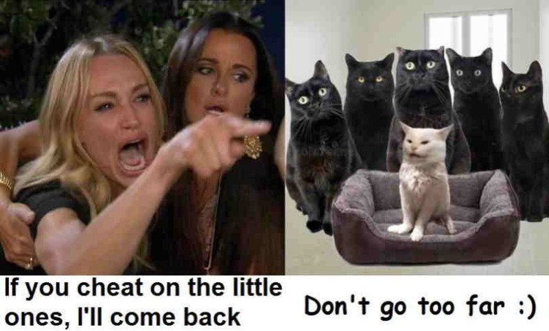 Woman-Yelling-at-a-Cat-Мемы-пять-негров-удалённое-5864680.jpg